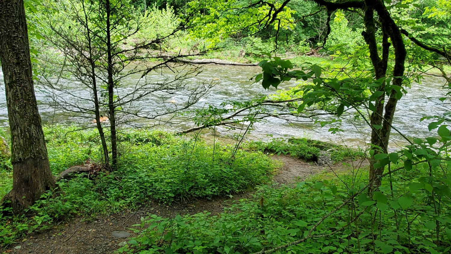 River Trail 